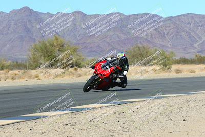 media/Jan-08-2022-SoCal Trackdays (Sat) [[1ec2777125]]/Turn 6 Inside (1pm)/